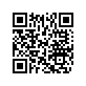 503190522 Runner Shoe