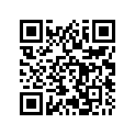 503191204 Amort. Arr. *shock-rear (x )