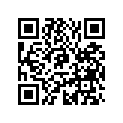 503191451 Cushion