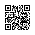 503191640 Cushion