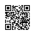 503192902 Runner 137