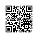 503193552 Black, Runner 137"