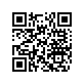 503194221 RAIL *RUNNER