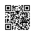 503194251 Slider Shoes - (REV Gen4 154")