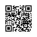 503194686 LH Support