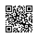 503195676 Support Manifold