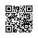 5032555 WASHER (31X39X2.0)
