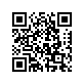 5032561 SHIM (.55MM)