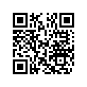 5032577 SHIM (1.0MM)