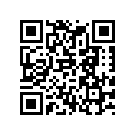 50333030000 STOP DISK 17,2X24X1