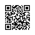 50333042000 STOP DISK 22,2X28X1 C