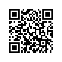 50333045000 STOP DISK 22,2X27,8X1