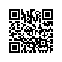 5033603 RIVET