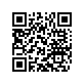 50337050061 CLOSING NUT M 26X1 WS=30