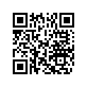 5033781 HOLDER