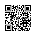 5033784 LEVER, THROTTLE