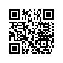 5033893 SHIM, TAPPET
