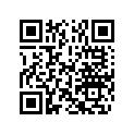 5033895 SHIM, TAPPET