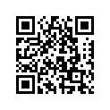 5034336 LEVER