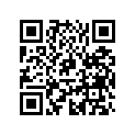 5034925 SHIM,TAPPET