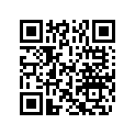 5034937 SHIM,TAPPET