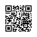 5034940 SHIM,TAPPET