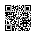 5034954 SHIM,TAPPET (300)
