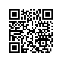 5035667 WASHER(5.5X16X1.2)