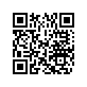 5040344 POSITIVE BRUSH
