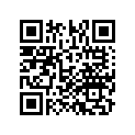 50406-MFL-D00 STAY A, RR.