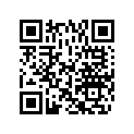 5041042 SPARK PLUG DECAL