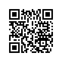 5041264 PIST RING 0.5 O/S