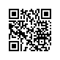 504141800 Rondelle *washer