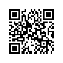 5041498 STAY