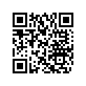 504151830 Drive Chain, (72 Links-Large)
