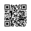 504151857 Drive Chain, (74 Links) Large