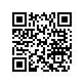 504152028