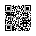 504152460 Cap