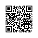 504152587 SHIM