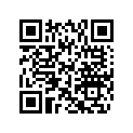 504152628 Shim