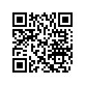 504152788 Lever