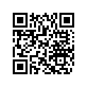 504153427 Lever