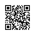 504153683 Handle Support