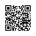 505068100 Support Ski *support-ski