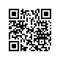 505070000 BRIDGE