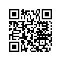 505070563 STABILISATOR