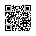 505073240 Ski Bridge