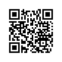 505074138 Ski Stopper