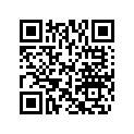 506110800 Barre Accoupl. *rod-tie