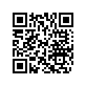 506115800 Cup